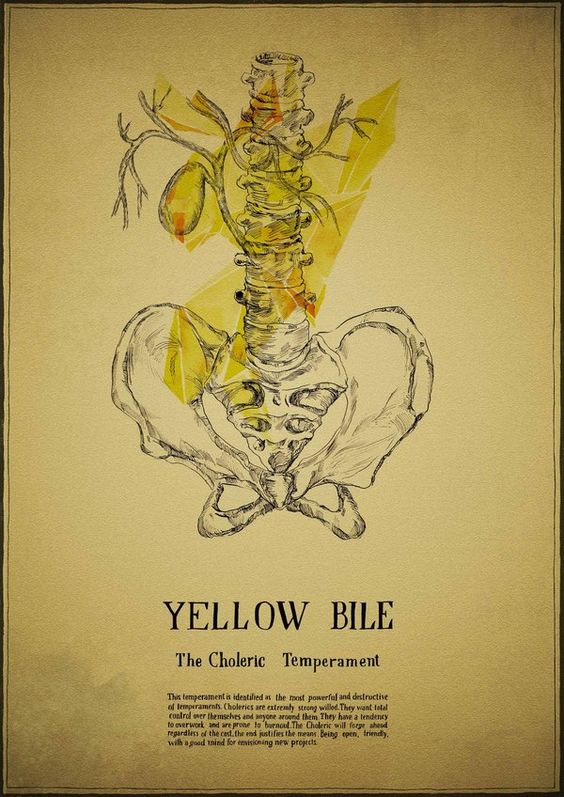 Irina Sidorova Yellow bile
