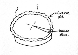 pie1