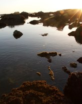 salt-water-5-640x816