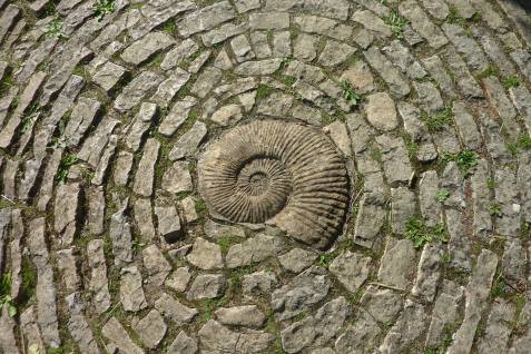 1278115_238548349627362_1807659997_o