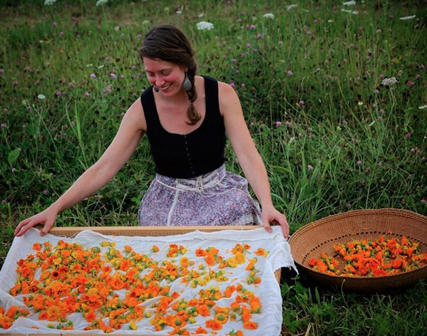 asia_calendula_grande