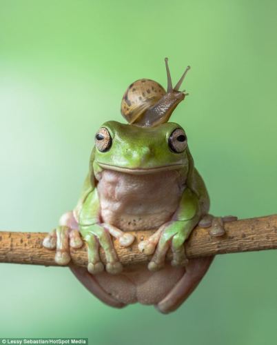 article-2615088-1d69fd5c00000578-558_642x799