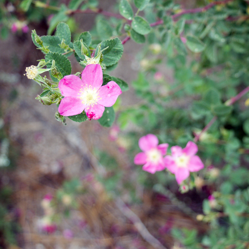 4b4477e8-da36-48d6-80e6-2b146319edbe