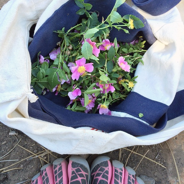 c8772433-b662-464b-b8ef-1665181a41e1