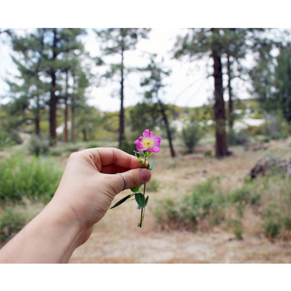 e68a22b1-dc70-4158-ba87-7ec8c5a3060f